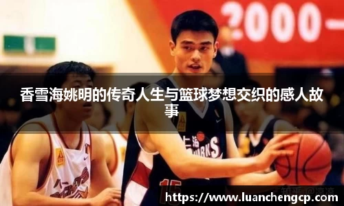 江南JNSport体育
